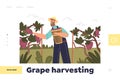 Grape harvesting concept of landing page with man farmer picking grape in vineyard garden