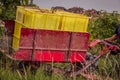 Grape harvesting on vineyards. Winemaker holding box with picked white Chasselas grape