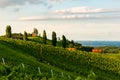 Grape hills and mountains view from wine street in Styria, Austria & x28; Sulztal Weinstrasse & x29; in summer