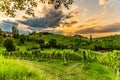 Grape hills and mountains view from wine street in Styria, Austria & x28; Sulztal Weinstrasse & x29; in summer Royalty Free Stock Photo