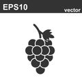 Grape Icon Food Fruits Outlined silhouette