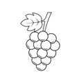 Grape Icon .Fruit Vector Sign and Symbol