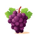 Grape icon isolated. Bunch of wine grapes with leaf. Grape image in flat design Royalty Free Stock Photo