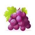 Grape icon isolated. Bunch of wine grapes with leaf. Grape image in flat design Royalty Free Stock Photo