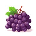 Grape icon isolated. Bunch of wine grapes with leaf. Grape image in flat design Royalty Free Stock Photo