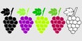 Grape icon set, black and color version of different grape types. Wine symbol vector illustration.