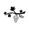 Grape icon vector illustration logo design Royalty Free Stock Photo