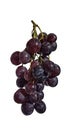 Grape isolated fresh red food background Royalty Free Stock Photo