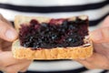 Grape jelly sandwich Royalty Free Stock Photo
