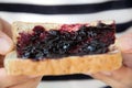 Grape jelly sandwich Royalty Free Stock Photo