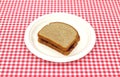 Grape jelly sandwich on picnic plate Royalty Free Stock Photo
