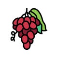 grape juice berry color icon vector illustration