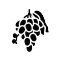 grape juice berry glyph icon vector illustration