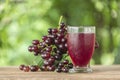 Grape juice Royalty Free Stock Photo