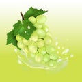 Grape juice splash. Fresh fruit 3d realistic vector illustration. Package design or poster