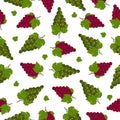 Grape juicy summer seamless pattern with a picture of ripe red green grapes with green leaves. Summer print. Vector Royalty Free Stock Photo