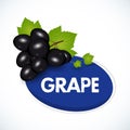 Grape label template. Bunch of black grapes with leaves isolated on white background. Vector illustration.