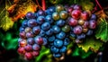 Grape leaf, nature freshness, ripe autumn fruit, organic winemaking generated by AI