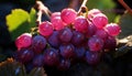 Grape leaf, nature freshness, ripe fruit, vineyard growth, organic winemaking generated by AI