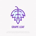 Grape leaf thin line icon. Vector illustration