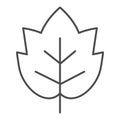 Grape leaf thin line icon. Wine leaf emblem or logo outline style pictogram on white background. Winery and viticulture