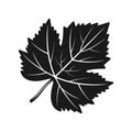 Grape leaf vector black silhouette object Royalty Free Stock Photo