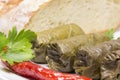 Grape leaves rolls. Sarmale, dolma, dolmades, sarma, golubtsy or Royalty Free Stock Photo