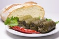 Grape leaves rolls. Sarmale, dolma, dolmades, sarma, golubtsy or Royalty Free Stock Photo