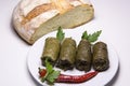 Grape leaves rolls. Sarmale, dolma, dolmades, sarma, golubtsy or Royalty Free Stock Photo