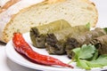 Grape leaves rolls. Sarmale, dolma, dolmades, sarma, golubtsy or Royalty Free Stock Photo