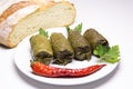 Grape leaves rolls. Sarmale, dolma, dolmades, sarma, golubtsy or Royalty Free Stock Photo