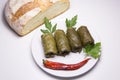 Grape leaves rolls. Sarmale, dolma, dolmades, sarma, golubtsy or Royalty Free Stock Photo