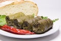 Grape leaves rolls. Sarmale, dolma, dolmades, sarma, golubtsy or Royalty Free Stock Photo