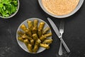 Grape leaves stuffed with meat and rice Royalty Free Stock Photo