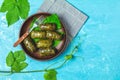 Grape leaves stuffed with meat and rice Royalty Free Stock Photo