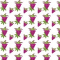 Grape and Leaves Vector Background