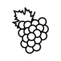 Grape line icon. plant, bunch. Pictogram isolated on a white background
