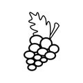 Grape line icon on a white background Royalty Free Stock Photo
