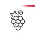 Grape line vector icon. Outline, editable stroke.