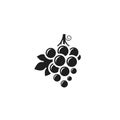 Grape. Logo Royalty Free Stock Photo