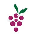Grape logo Royalty Free Stock Photo