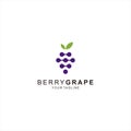 Berry Grape Logo Design Template Royalty Free Stock Photo