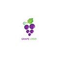 Grape Logo Template - vector