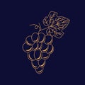 Grape logo vector icon in linear style for winery label design.
