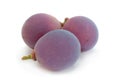 Grape `Lydia` closeup berry Royalty Free Stock Photo