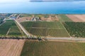 Grape orchards view. Vine rows. Top view on the garden on a background of the estuary, village and sky Royalty Free Stock Photo