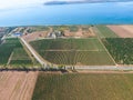 Grape bird`s-eye view. Vine rows. Top view on the garden on a background of the estuary, village and sky Royalty Free Stock Photo