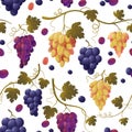 Grape pattern. Seamless print of bunch of green grapes, vintage texture of wine vine fruit, natural food background. Vector Royalty Free Stock Photo
