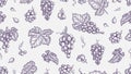 Grape pattern. Vine seamless texture, plants and leaves. Sketch vineyard and wine raw elements vector background Royalty Free Stock Photo