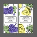 GRAPE PINEAPPLE LABELS Design Sketch Vector Illustration Set